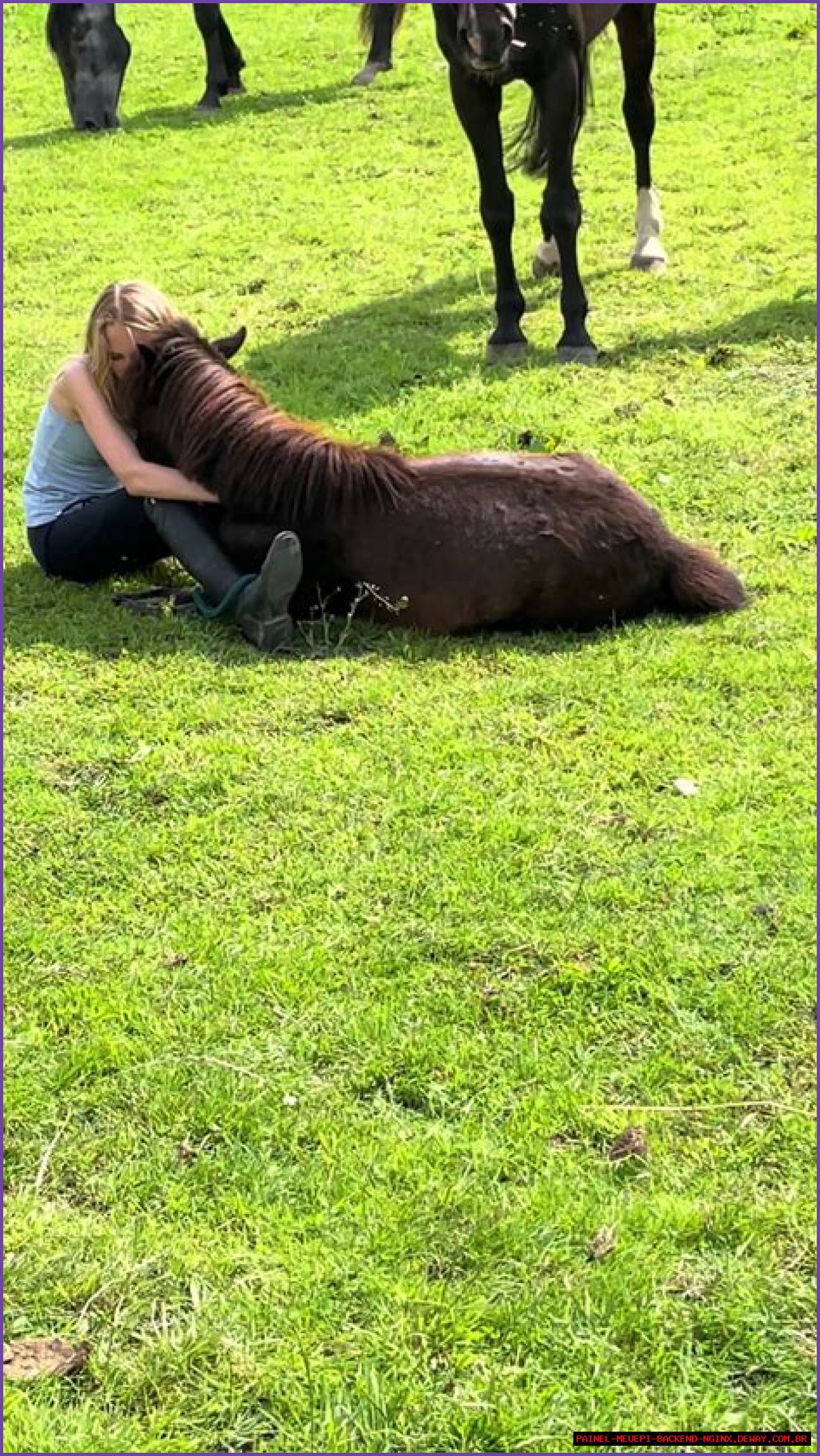 Exploring The Life And Journey Of Casper Henderson Stockwell